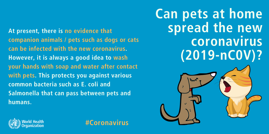 COVID-19 WHO Guidelines for pet owners