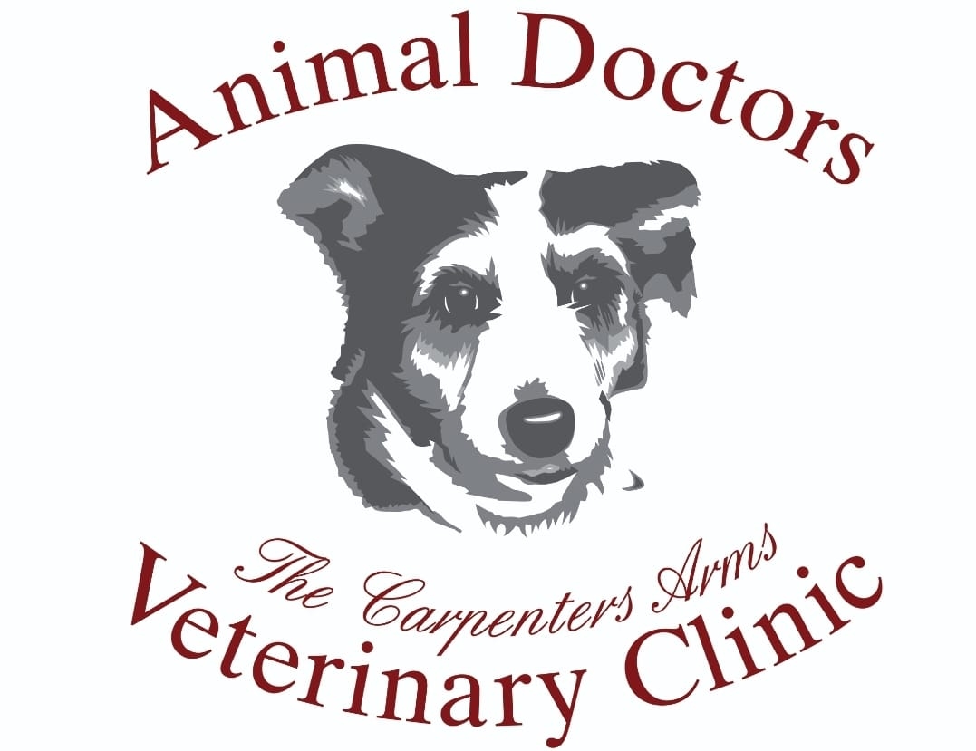 Home - Animal Doctors Vets